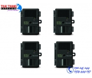 Máy bẫy ảnh Wildview TK40
