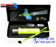 Đèn pin lặn chuyên nghiệp Led Lenser D14