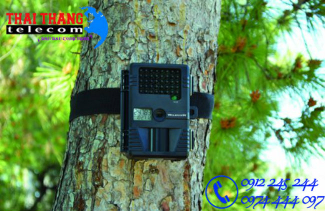 Máy bẫy ảnh Wildview TK40